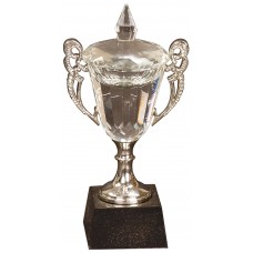 CRY052 Crystal Cup with Silver Handles